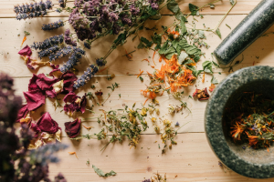 AEI- 31 Ayurveda India y Sri-Lanka - 7N-8D 1920 900 PX