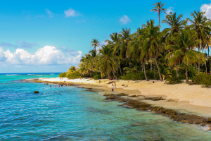 AEIA - 01 La esencia de las islas Andamán 5N-6D 1920 900 PX